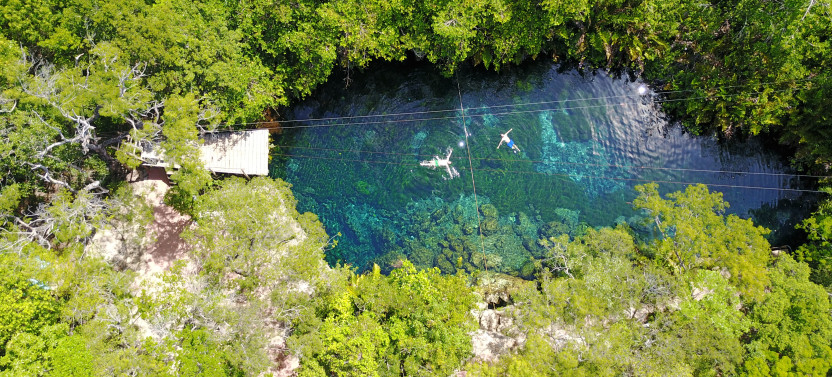Private Turtles & Cenotes Tour