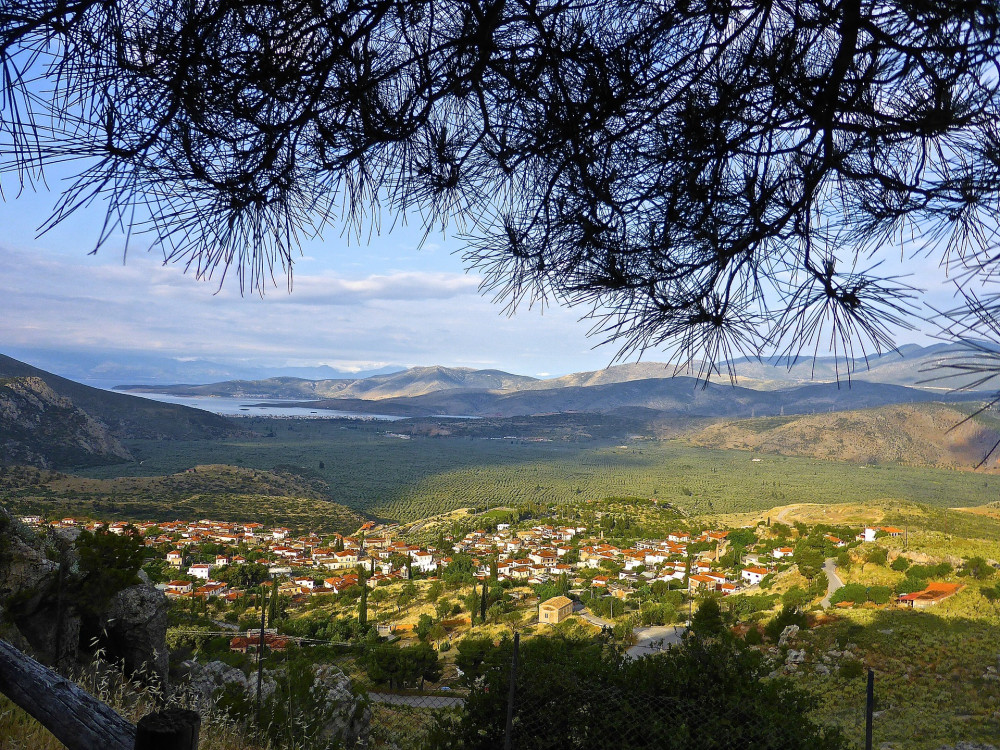 Private Divine Delphi Tour