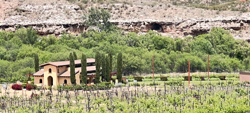 Vines & Vistas: Kayak and Wine Experience