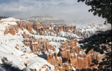 Bryce Canyon Scenic Tours and Shuttle Service1