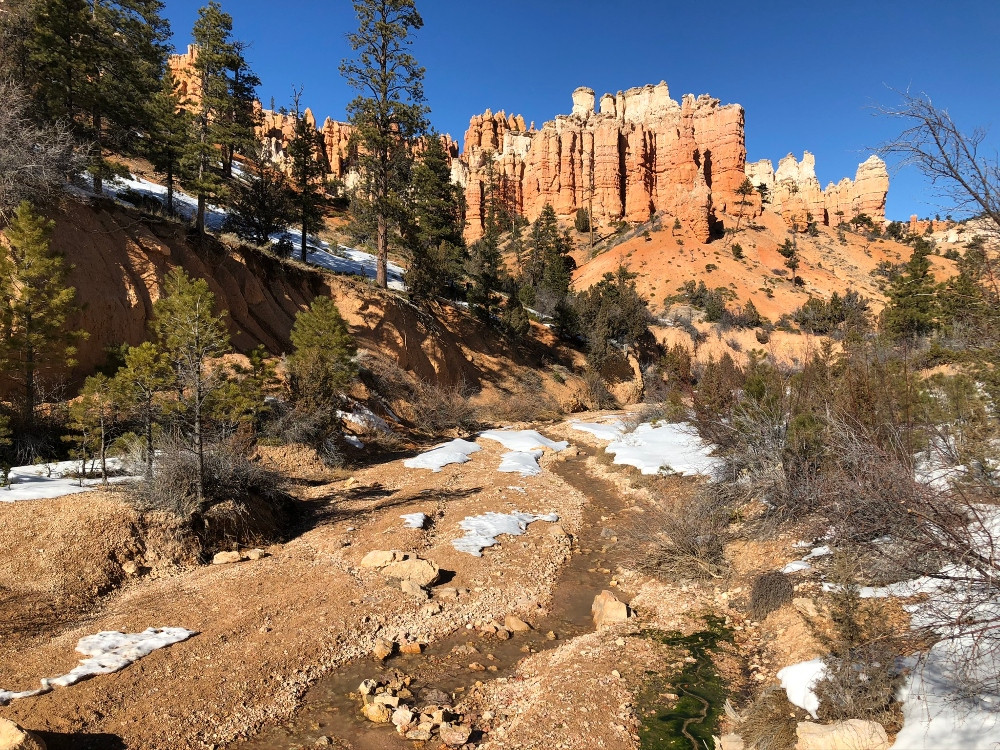 bryce canyon scenic tours and shuttle