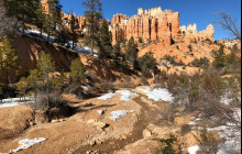 Bryce Canyon Scenic Tours and Shuttle Service3