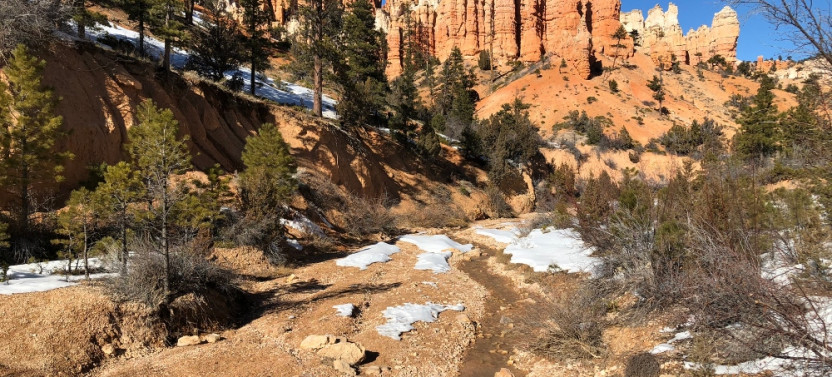 Private Bryce Canyon 3-Hour Tour