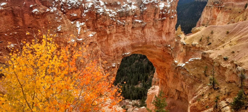 Private Bryce Canyon 3-Hour Tour