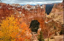 Bryce Canyon Scenic Tours and Shuttle Service1