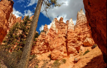 Bryce Canyon Scenic Tours and Shuttle Service7