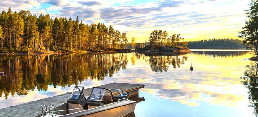 Seal Safari in Savonlinna from Helsinki (Private)