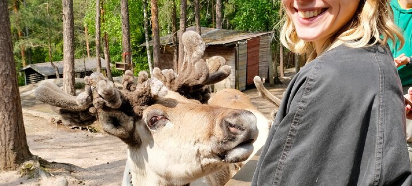 Authentic Reindeer Experience Near Helsinki (Private)