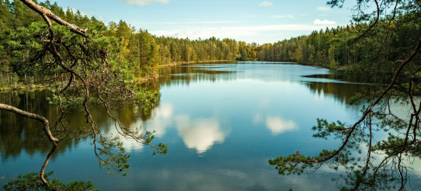 Hiking in Nuuksio National Park with an Open Fire Picnic