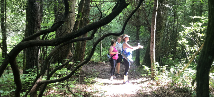 Forest Bathing at the Arboretum in Asheville