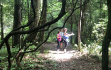 Asheville Wellness Tours2