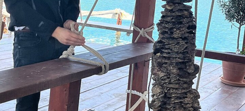 Private Pelješac Wine and Oyster Harvesting Experience by Boat