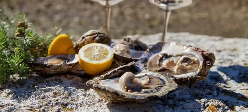 Private Dubrovnik History Local Bites Wine & Seafood Extravaganza