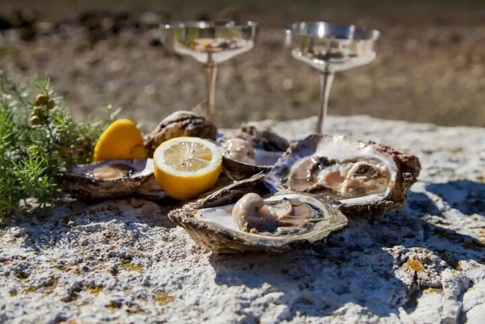 Private Dubrovnik History Local Bites Wine & Seafood Extravaganza