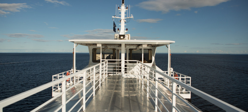 Whale Watching Cruise VIP Lounge St. Laurent - Morning