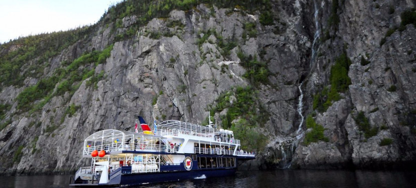 Whale Watching Cruise & Fjord at Dusk – Tadoussac