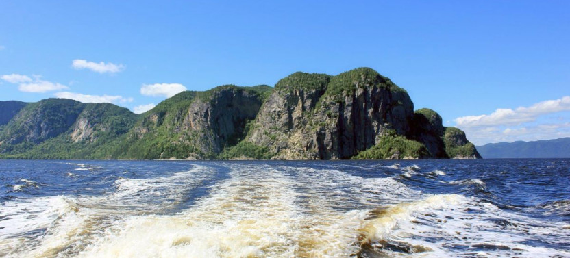 Whale Watching Cruise & Fjord at Dusk – Tadoussac