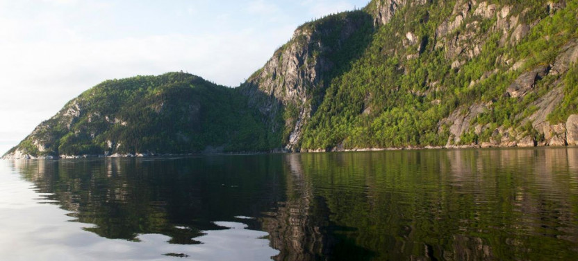 Whale Watching Cruise & Fjord at Dusk – Tadoussac