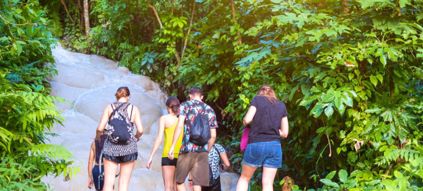 Chiang Mai: Sticky Waterfall by Local Truck with Market Stop
