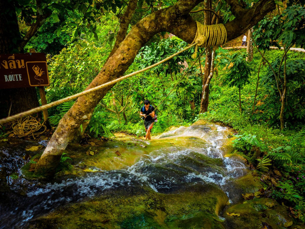 Chiang Mai: Bua Thong Sticky Waterfall and Market by Songtaew Trio