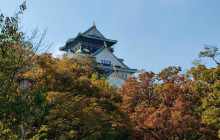 Hungry Osaka Tours2