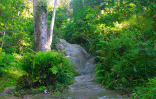 Discova Day Tours and Activities7
