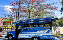 Discova Day Tours and Activities3
