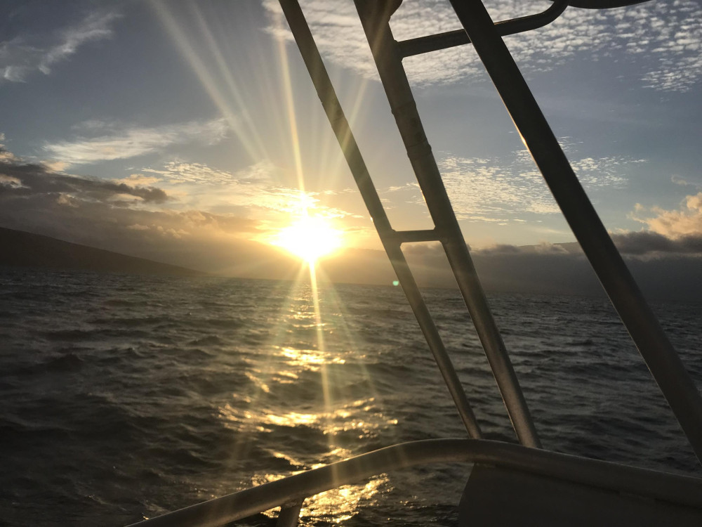 Kohala Divers