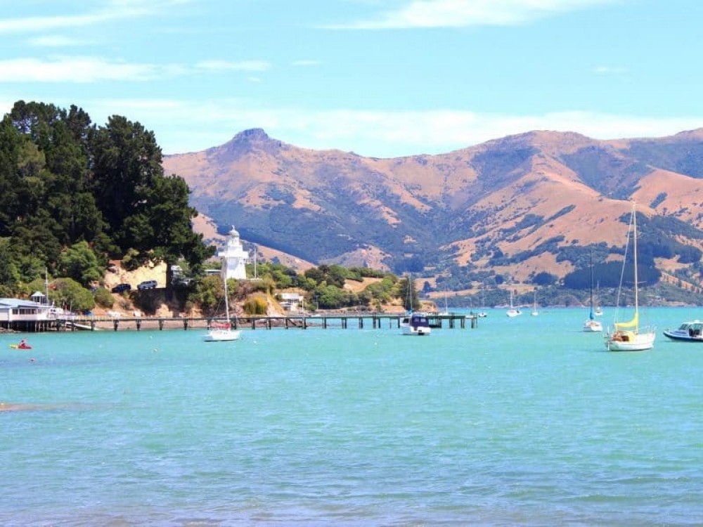 Akaroa Shore Excursion: Banks Peninsula & Giants House Tour - Akaroa ...