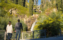 Go West Tours6