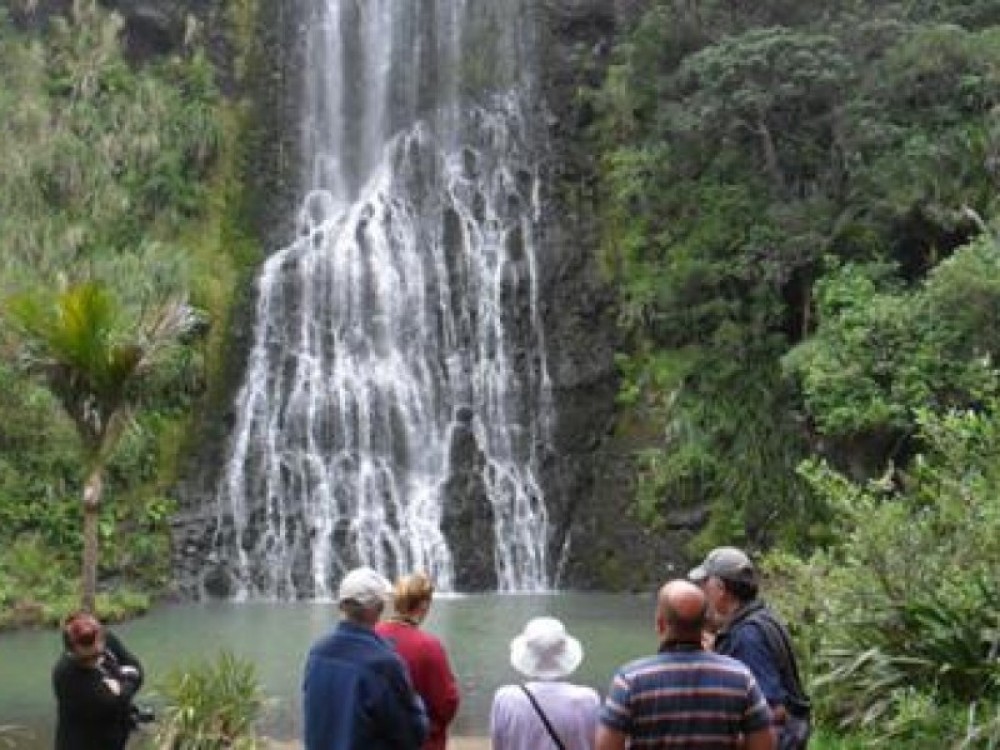 Auckland Shore Excursion: Highlights & Wilderness Experience