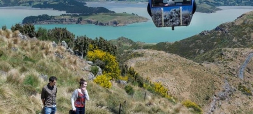 Christchurch Highlights Excursion: The City’s Best Attractions