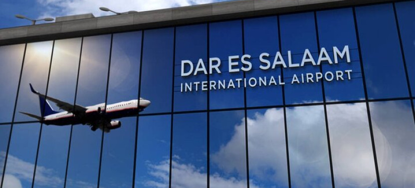 Private Customizable Highlights Layover Tour in Dar es Salaam