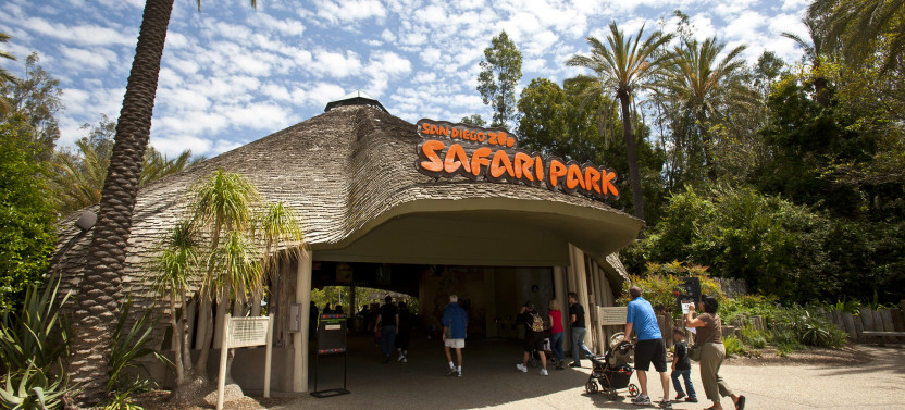 Go City San Diego Explorer Pass: Tickets to 2-7 Attractions
