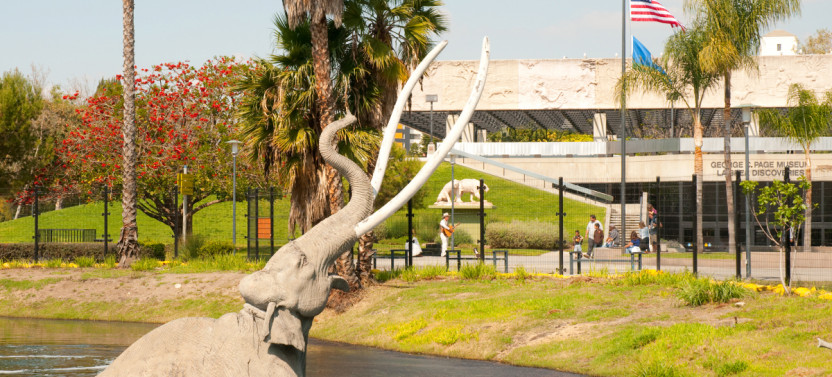 Go City | Los Angeles Pass Plus: Attraction Pass with Universal Studios