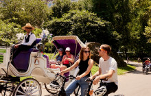 Holland Bikes - New York1