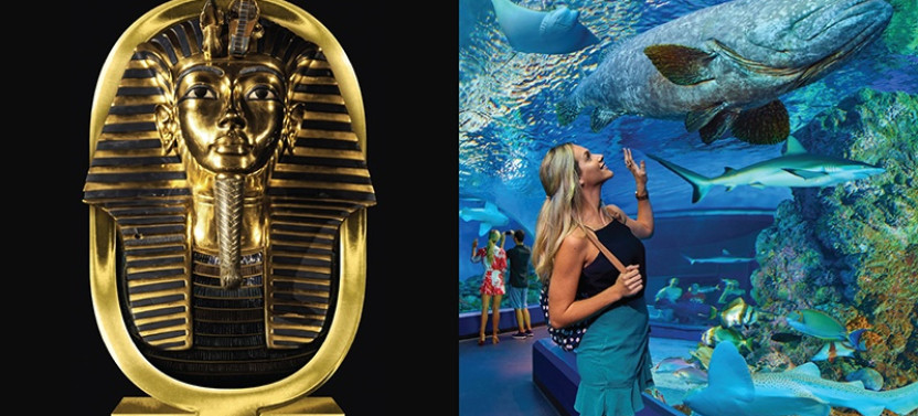 Cairns Aquarium & Tomb of the Pharaohs Entry