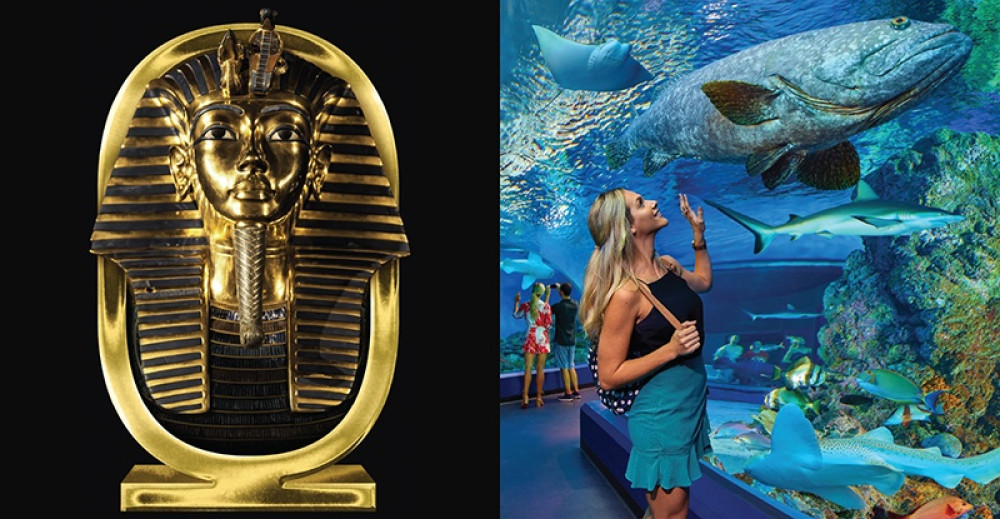 Cairns Aquarium & Tomb of the Pharaohs