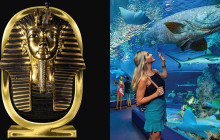 Cairns Aquarium and Reef Research Centre1
