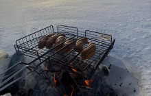 Lapland Royal Adventures6