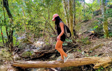 Los Veranos Canopy Tour2