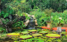 Los Veranos Canopy Tour8