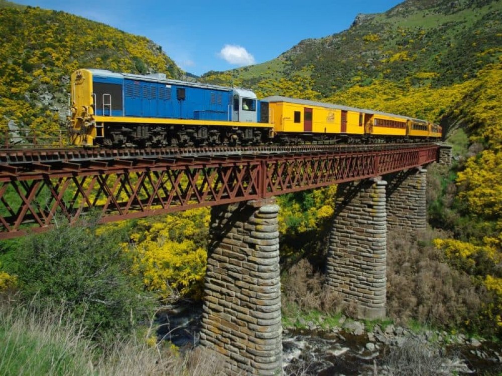 Dunedin Shore Excursion: Queenstown/Akaroa & Taieri Gorge Railway