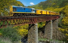 Dunedin Shore Excursion: Queenstown/Akaroa & Taieri Gorge Railway
