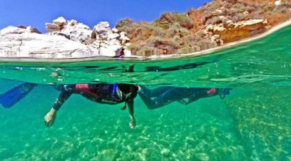 Eco-Snorkel in the Medes Islands