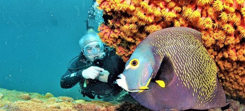 Scuba Dive in Paradise: Day Trip to Arraial Do Cabo