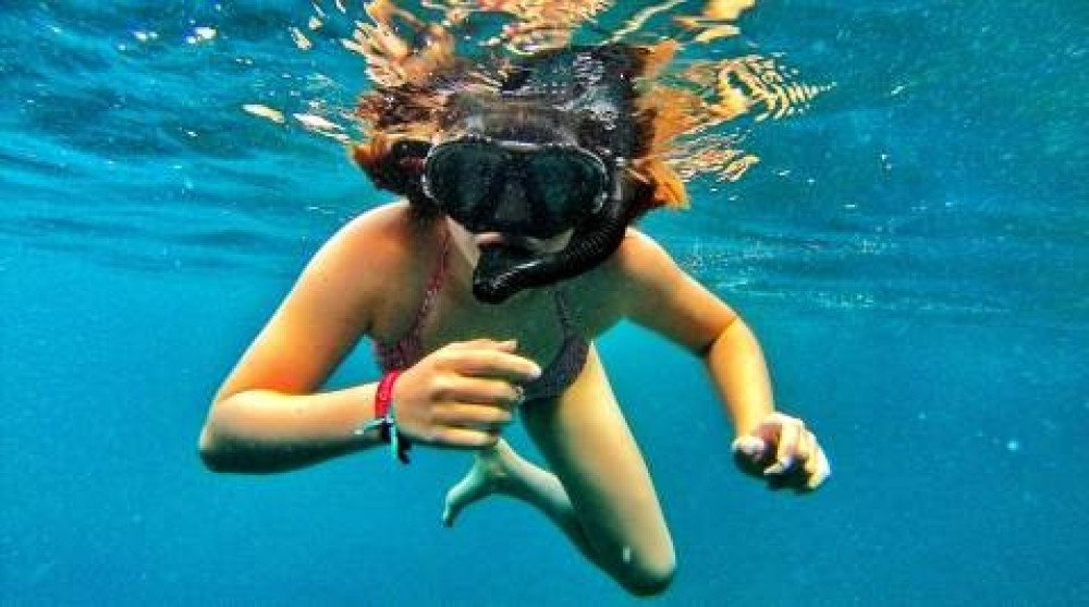 Medes Islands Snorkeling Boat Tour with Swimming in Montgrí Natural Park