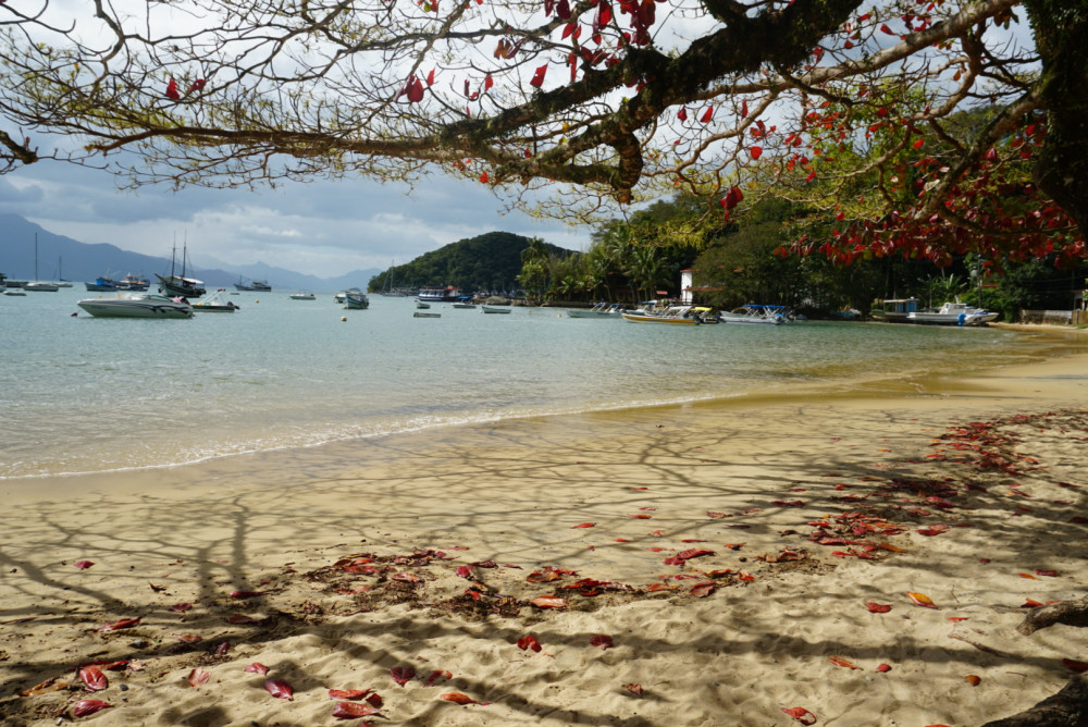 Ilha Grande Day Trip