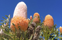 WA NT Tours4