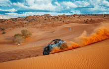 Mad Moose Rentals & Tours2